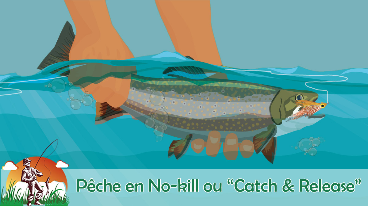 Technique de pêche en "No Kill" - Pêche en Haute-Loire